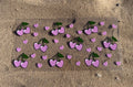 #24B Heart Bows