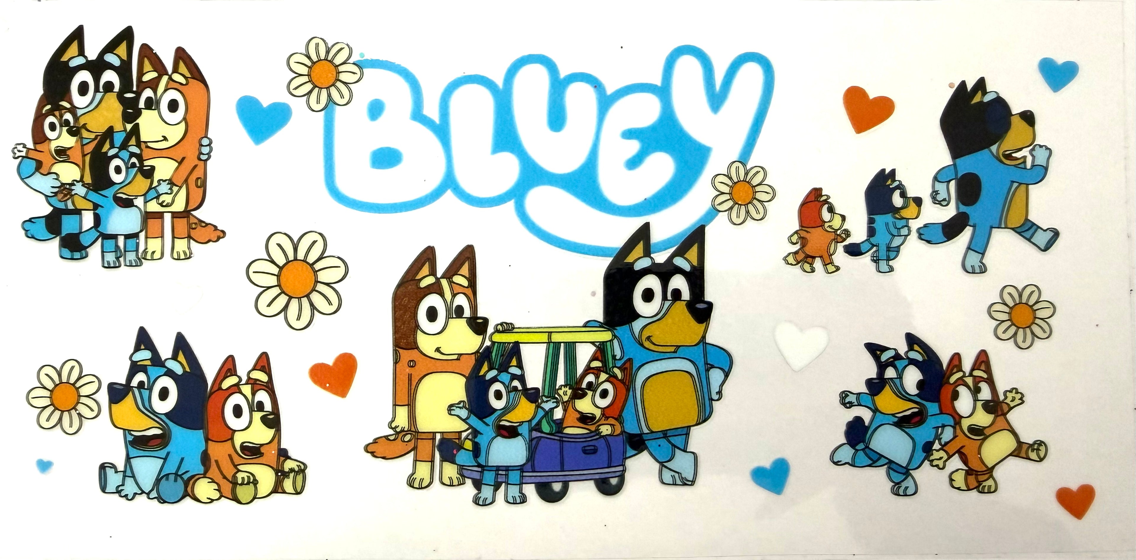 #24D Bluey