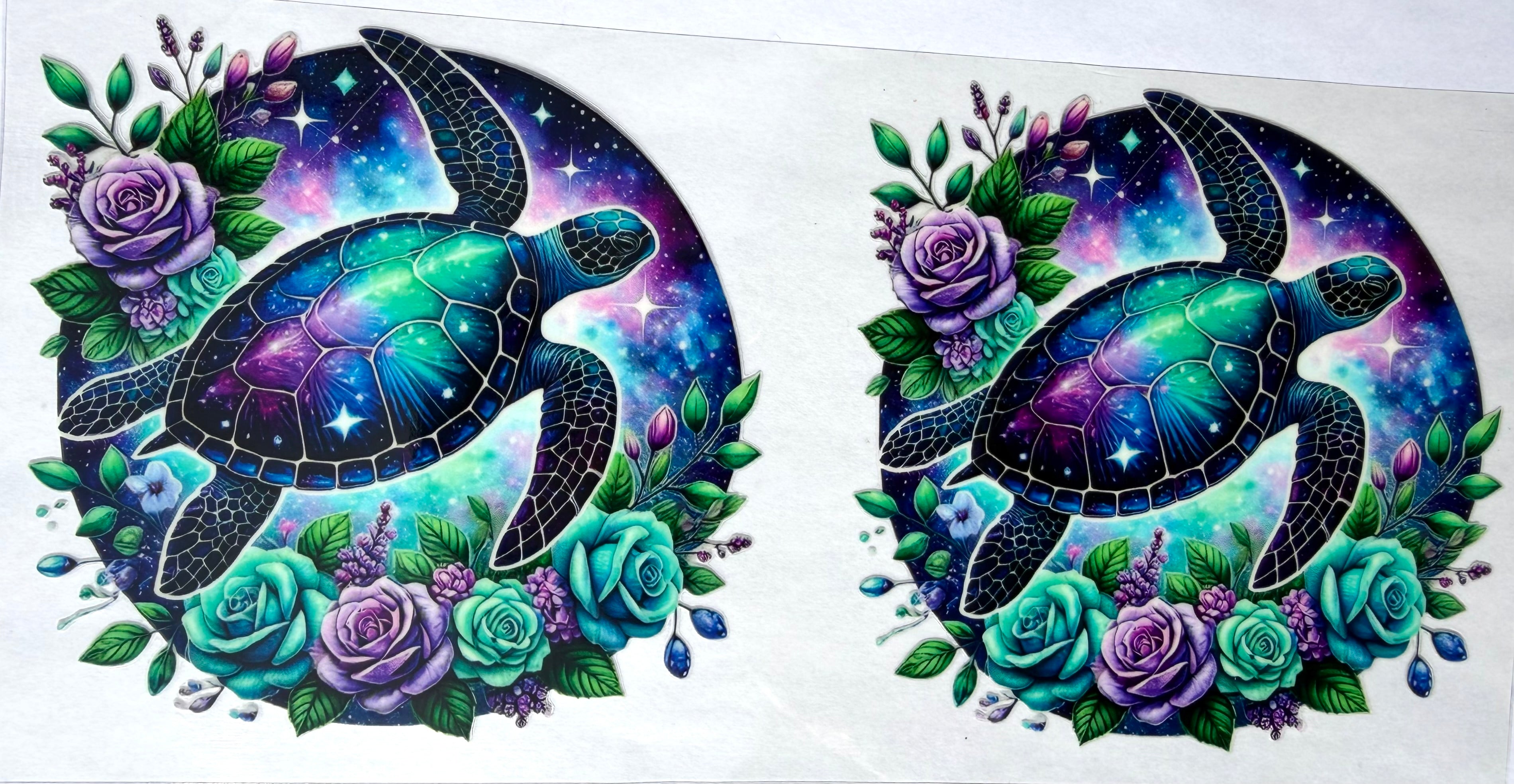 #21A Turtles