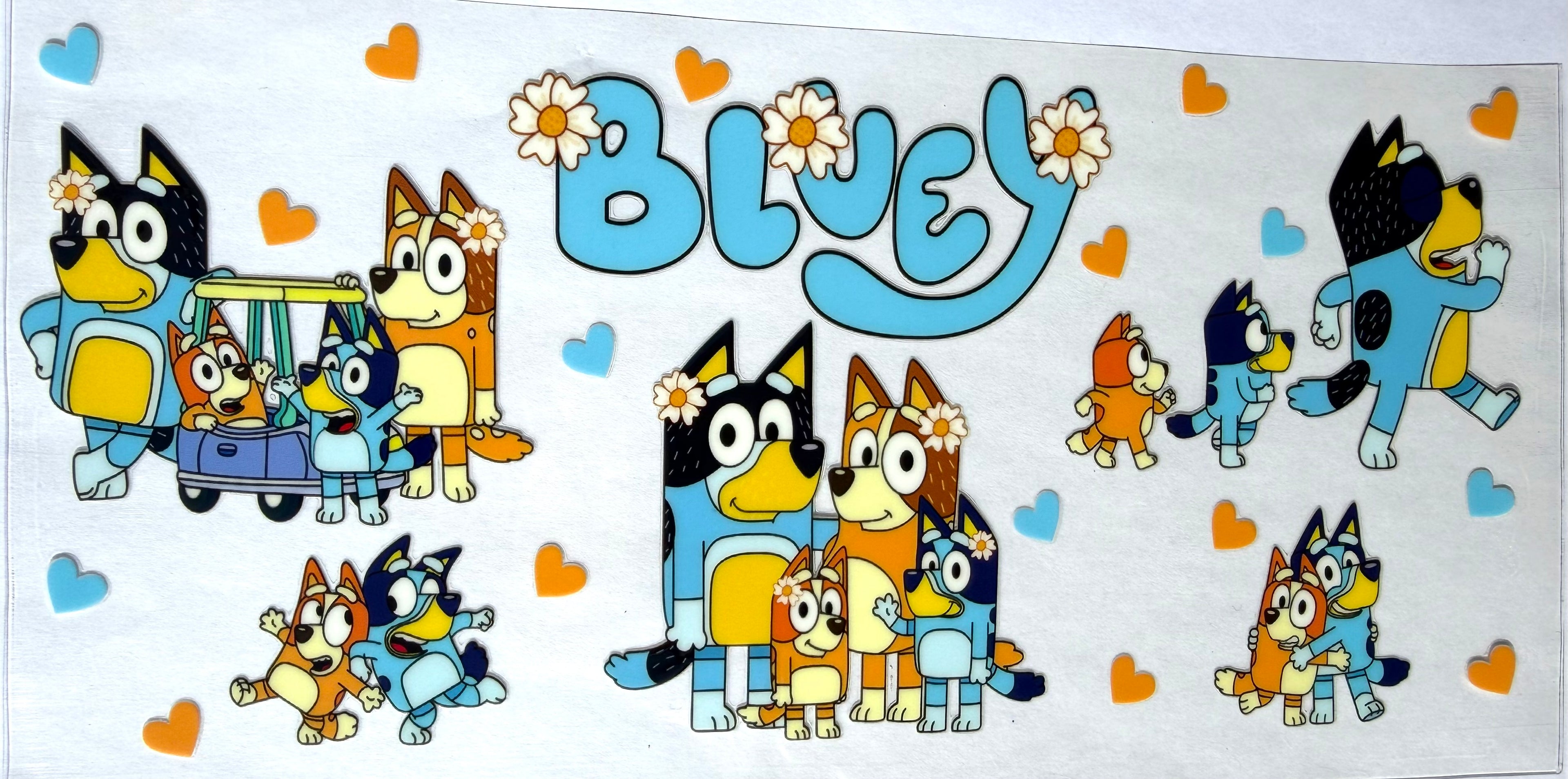 #25D Bluey