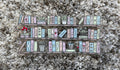 #30B Book Shelf