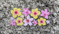 #49A Hawaiian Flowers