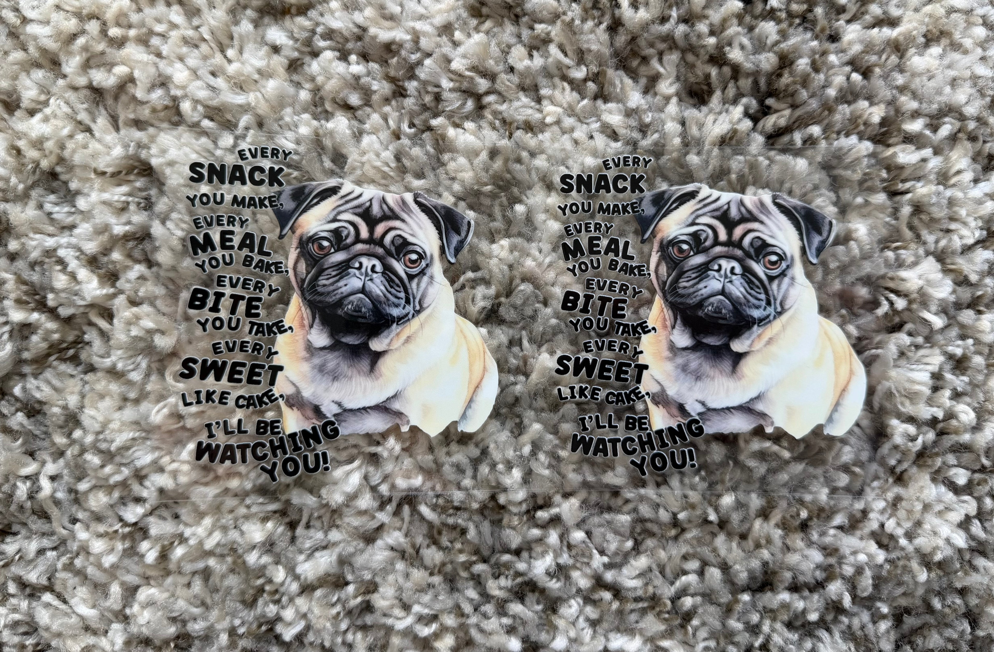 #54A Frenchie
