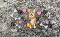 #49F Corgi Mom