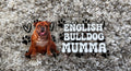 #52F English Bulldog Mom