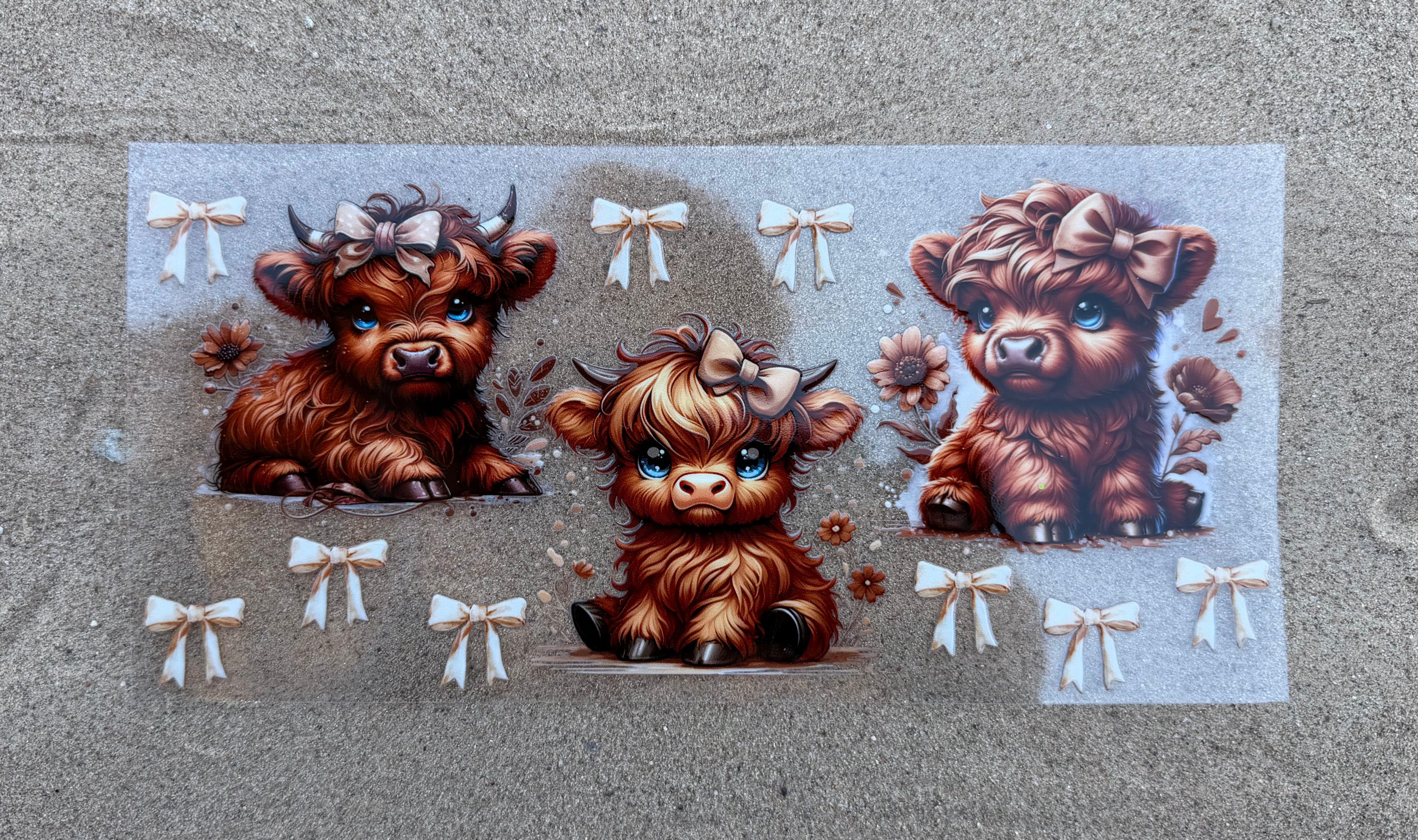 #64A Cows