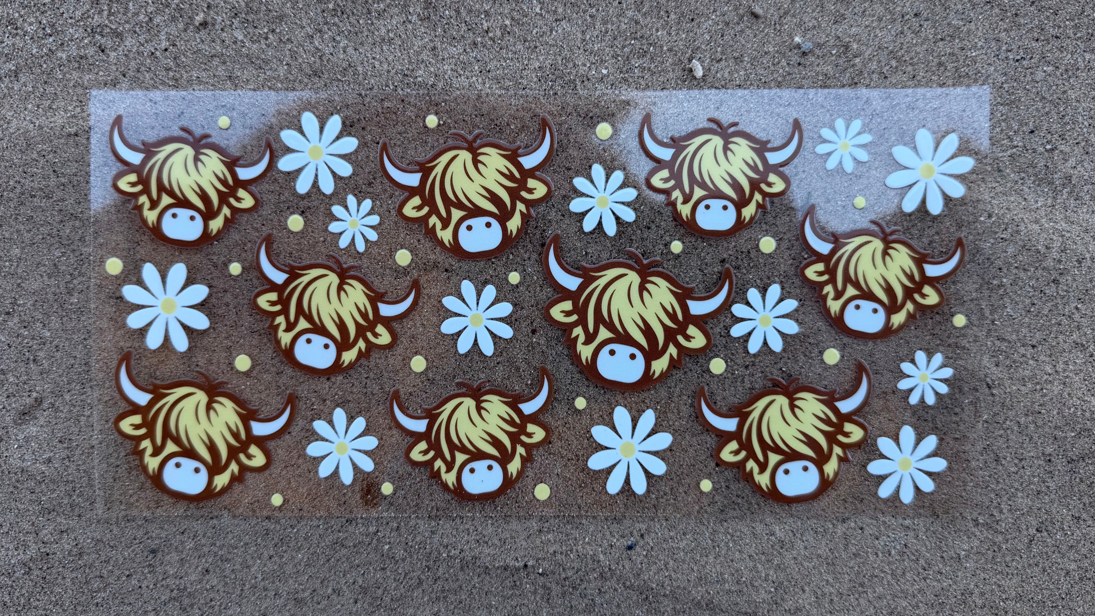 #70A Cows