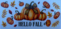 #167E Fall vibes