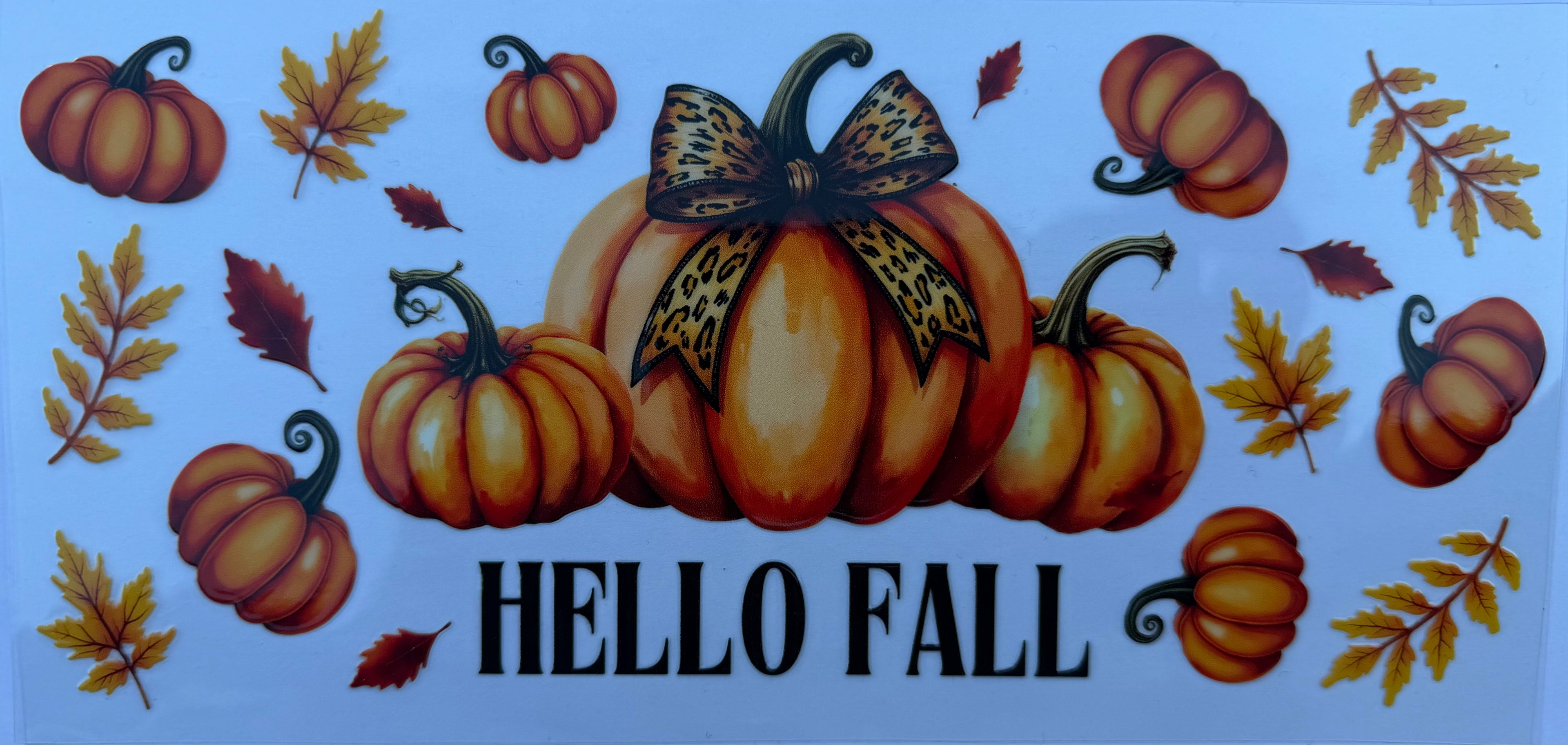 #167E Fall vibes