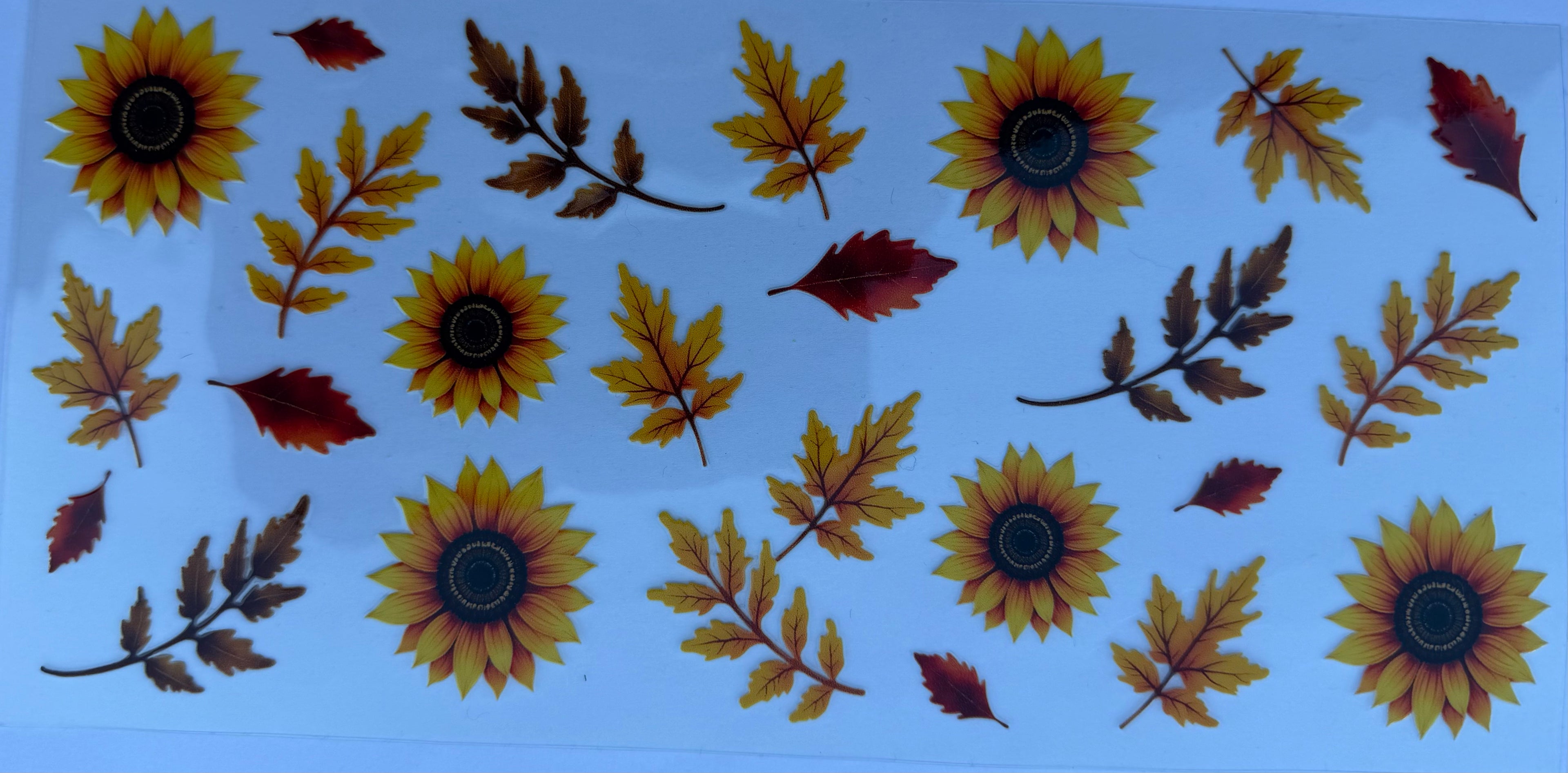 #168E Fall vibes