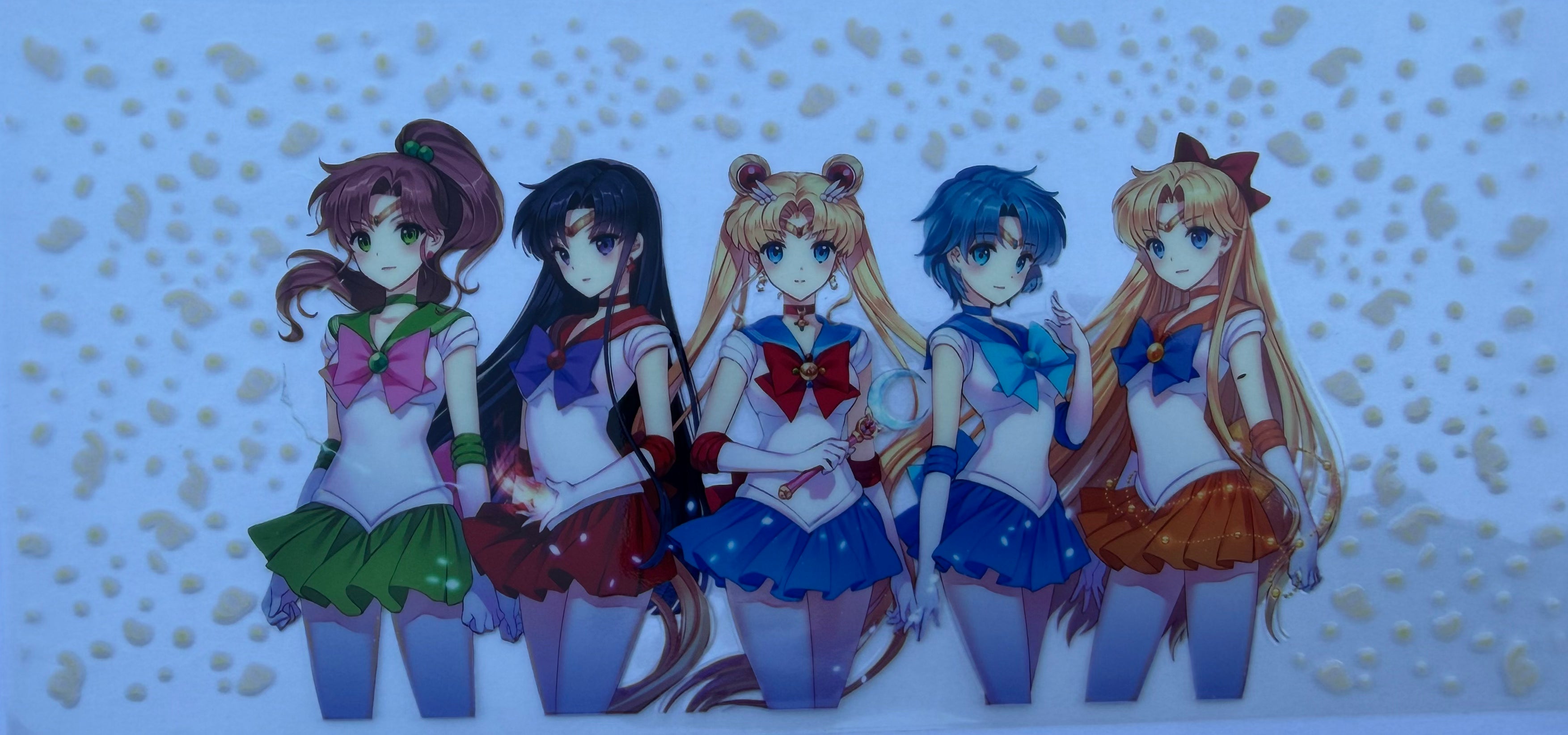 #198E Sailor Moon