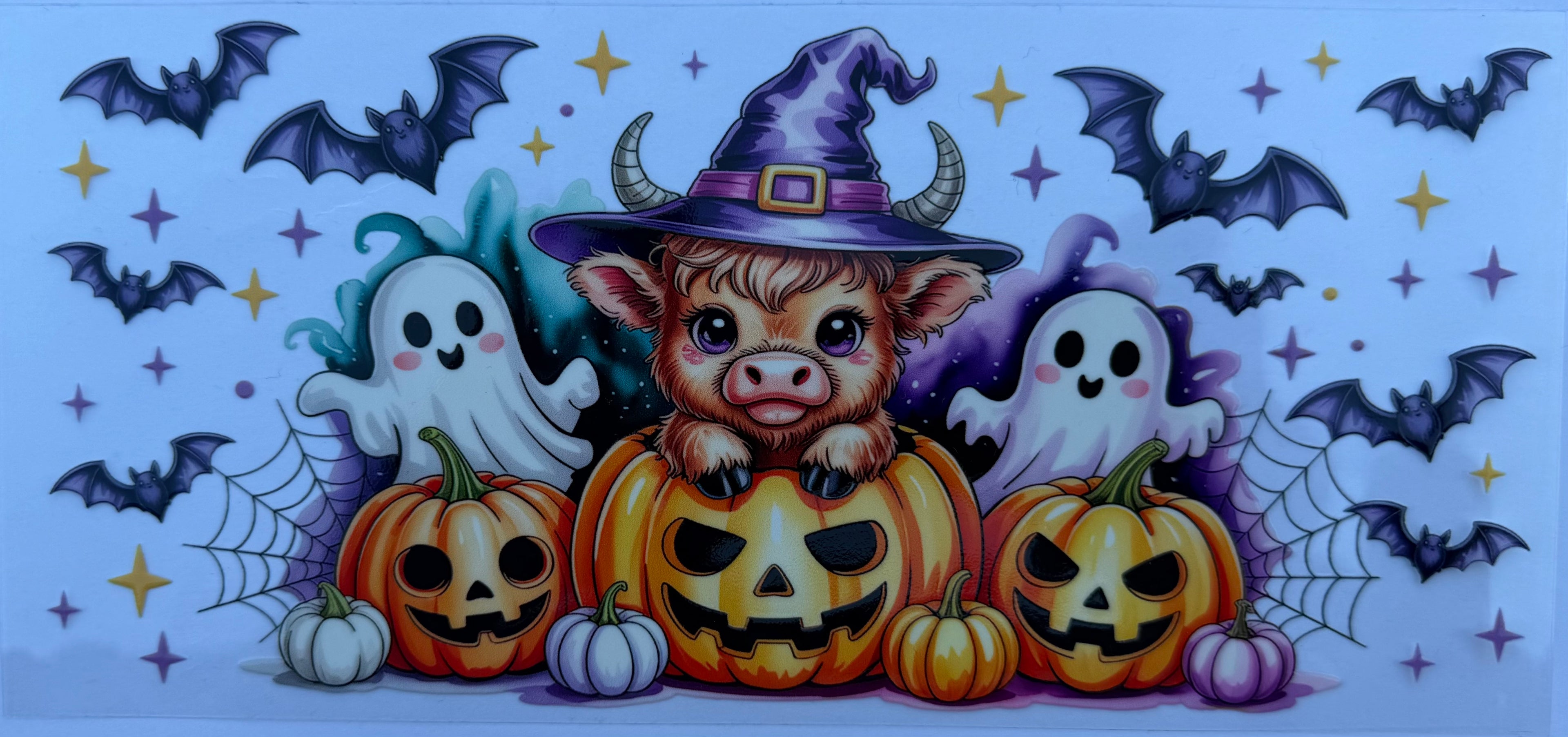 #241E highland cow