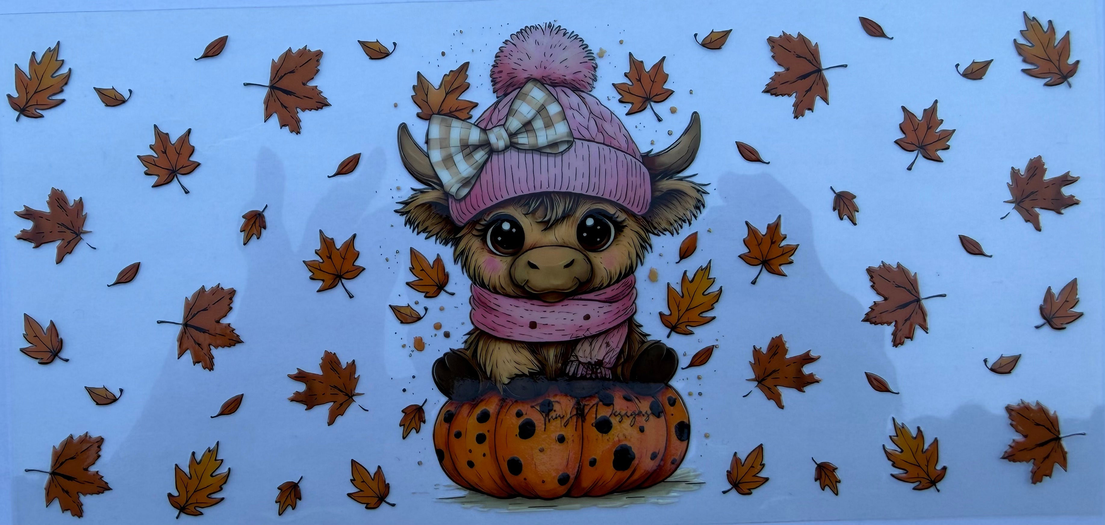 #243E highland cow