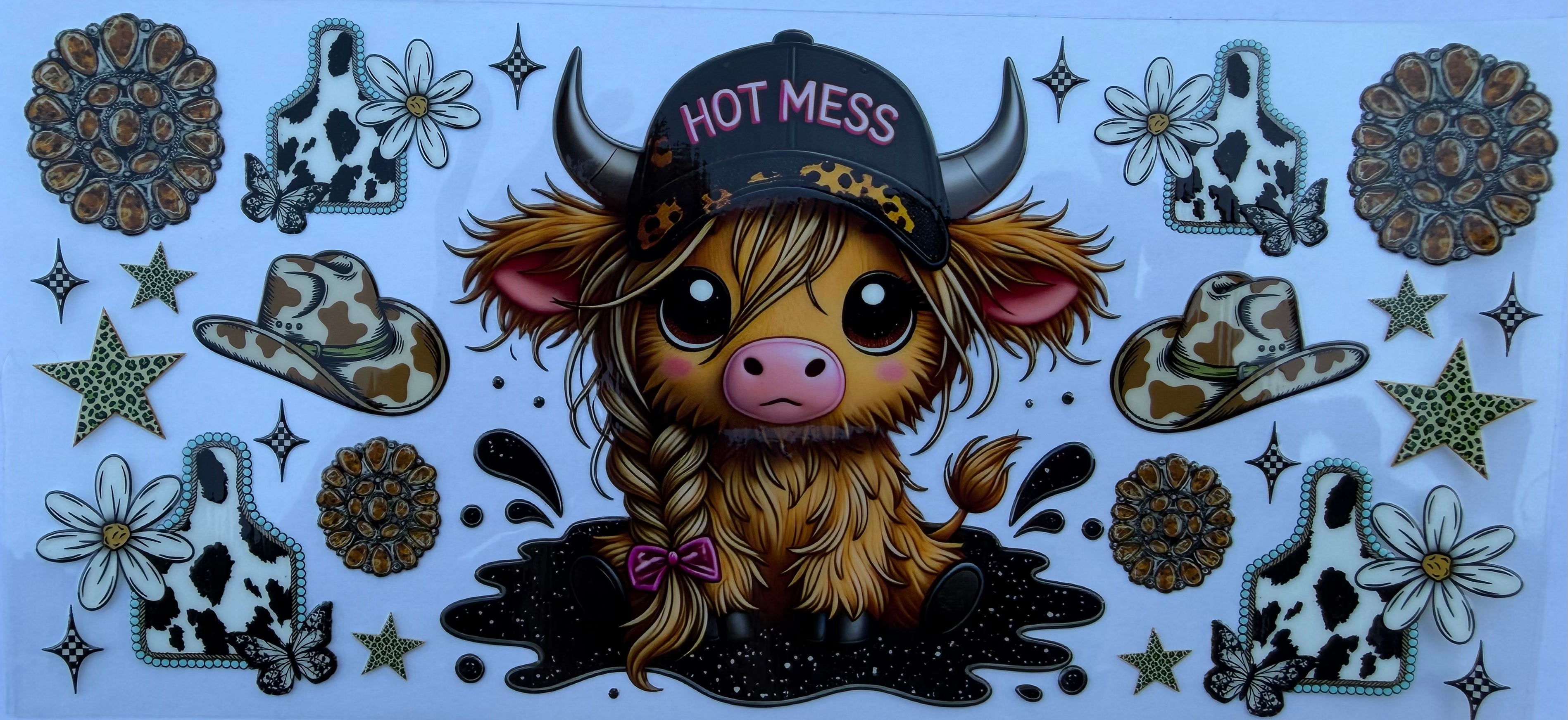 #248E highland cow