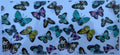 #257E butterflies