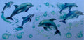 #261E Dolphins