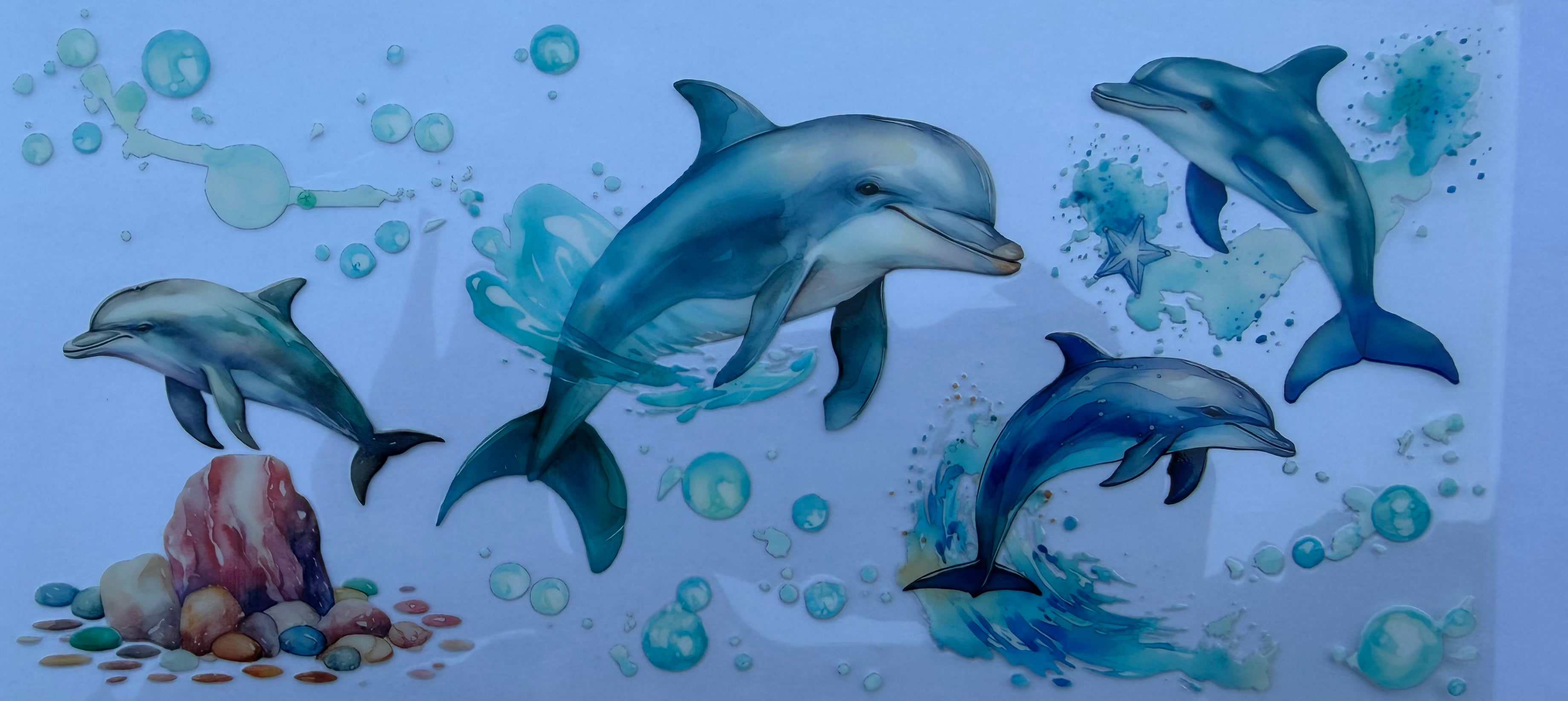 #262E Dolphins
