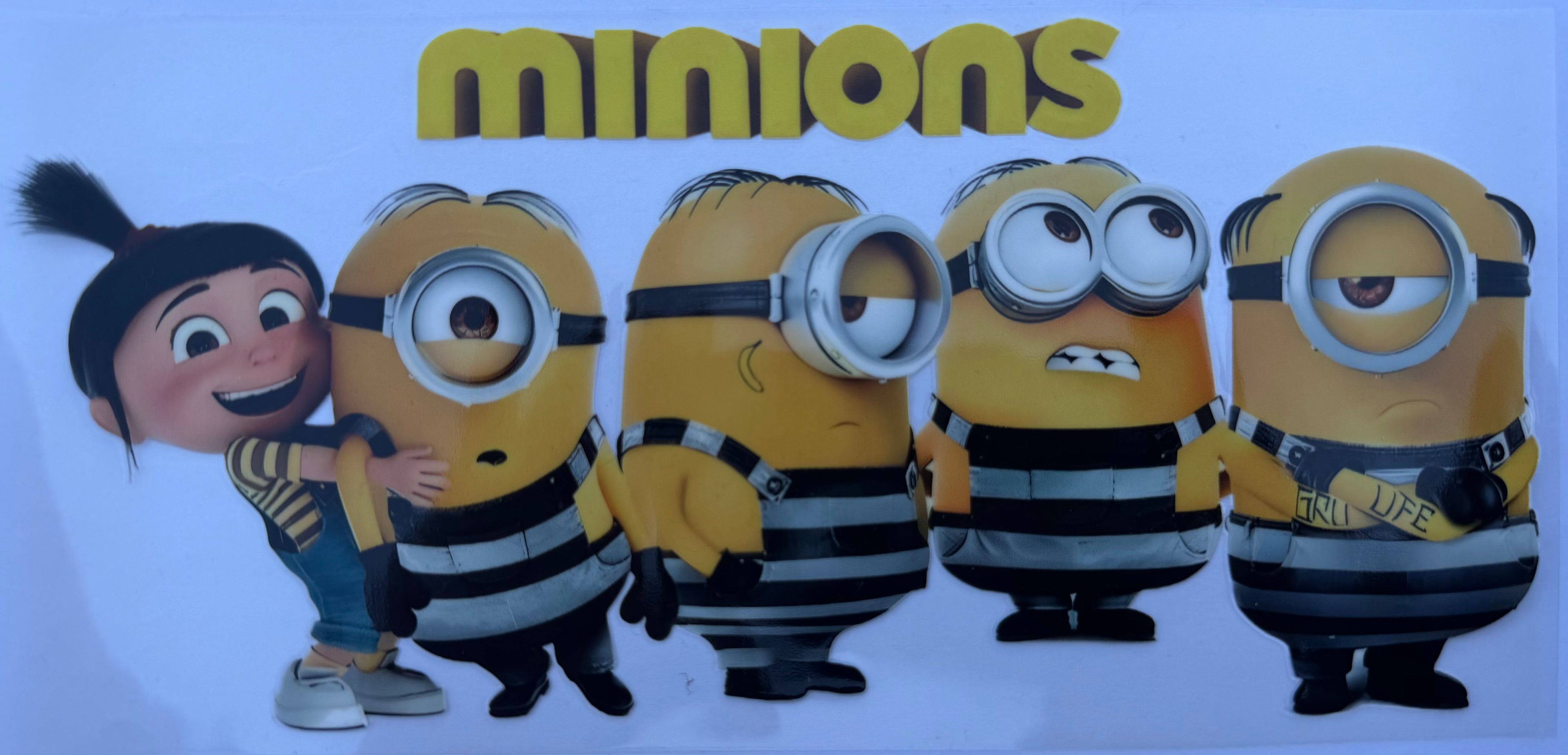 #284E Minions