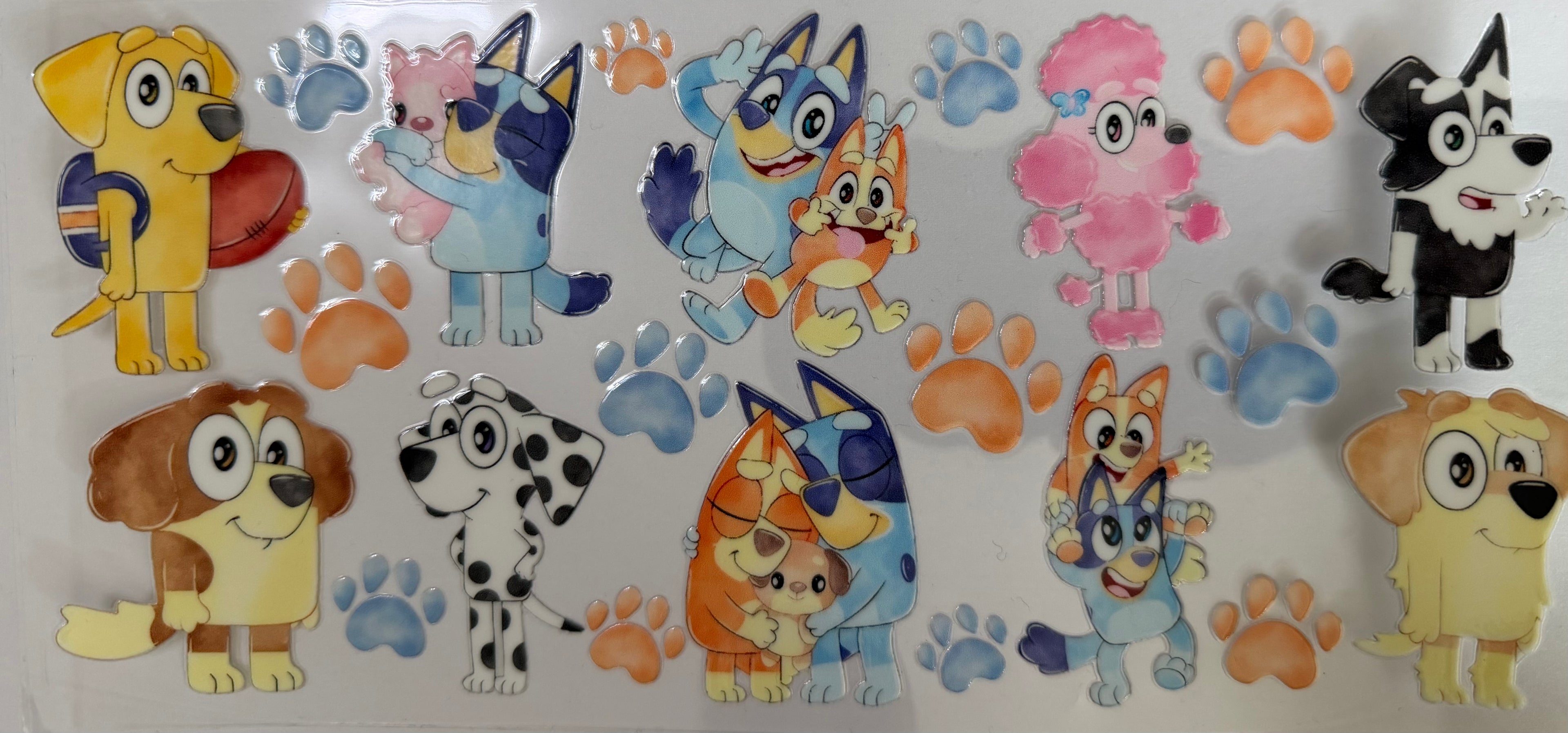 #519C bluey