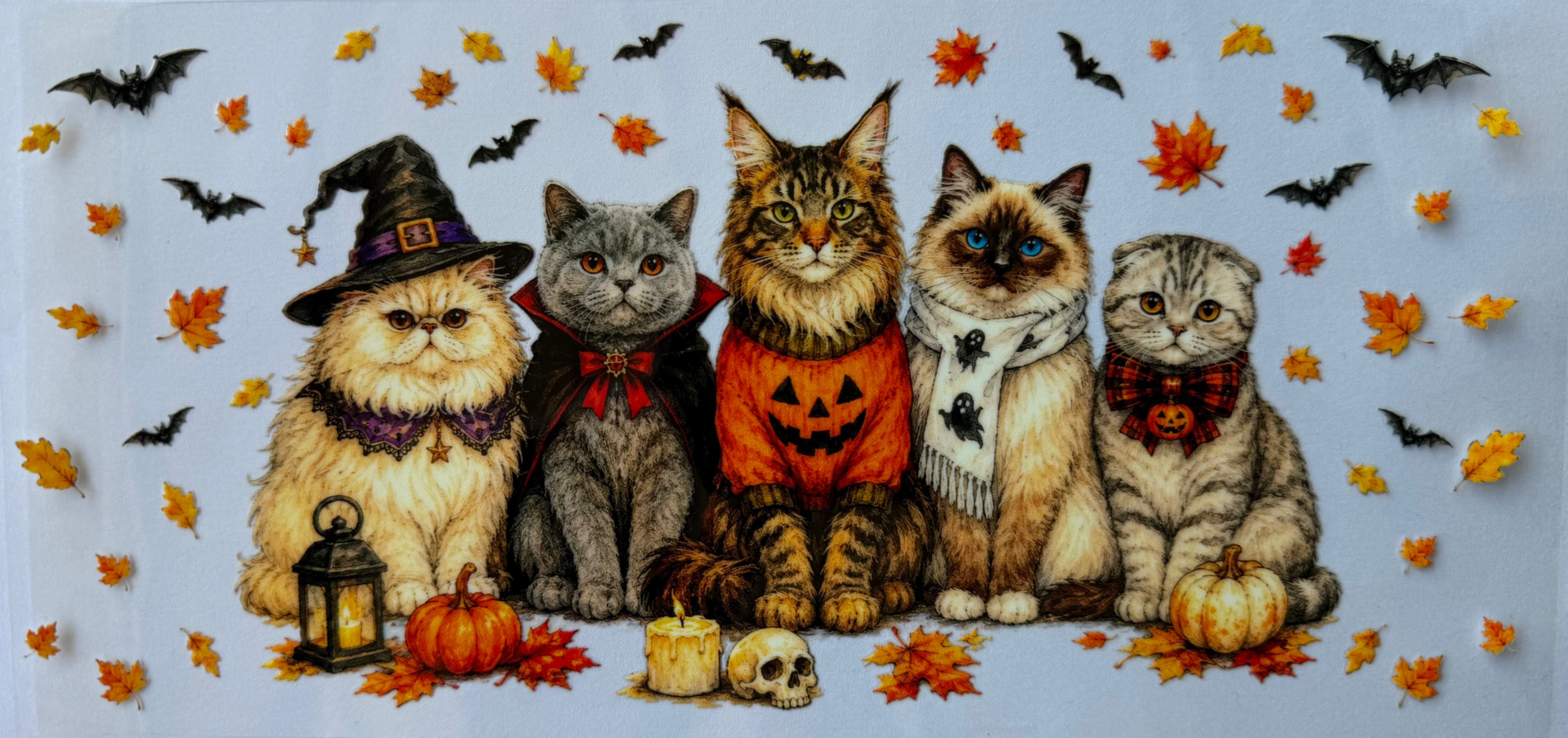#301F cats
