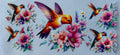 #323F hummingbird