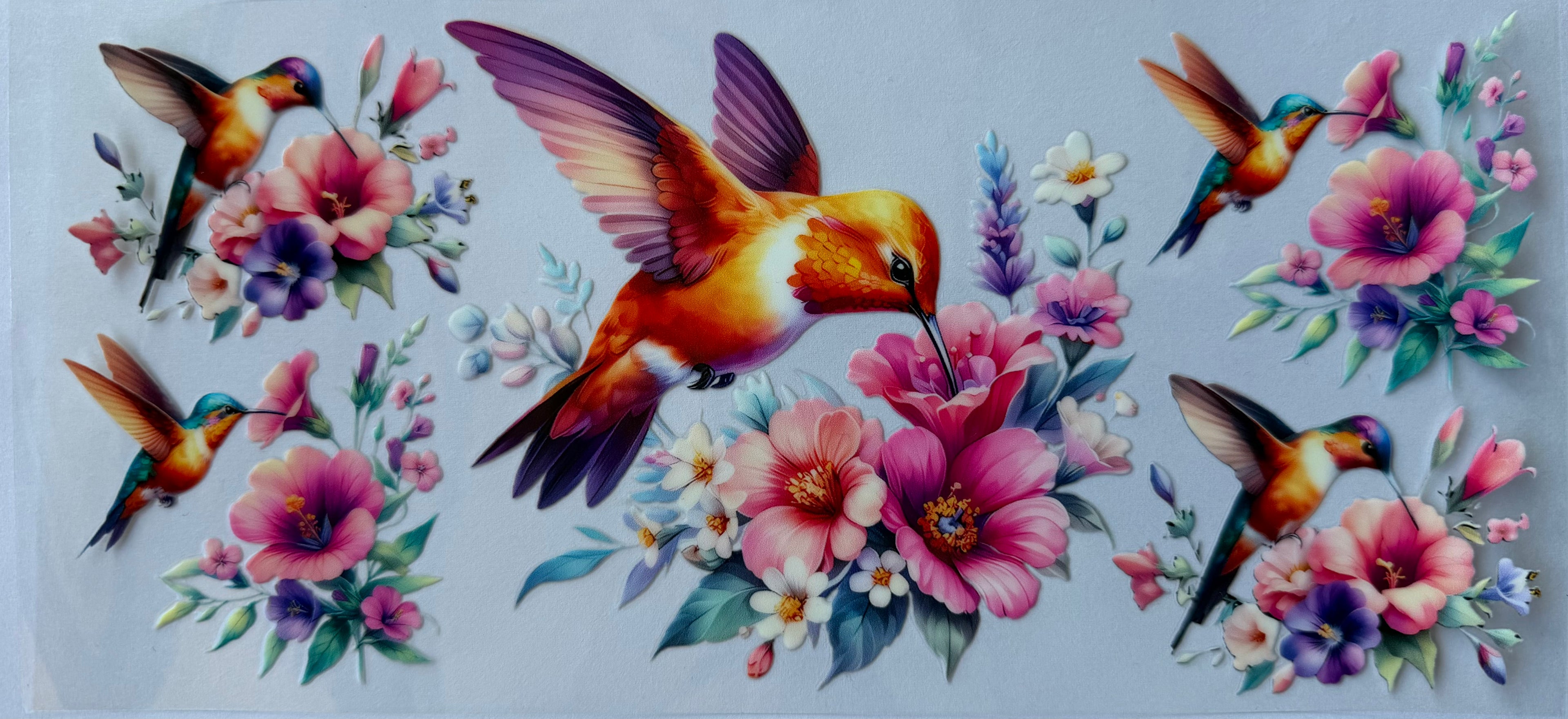 #323F hummingbird