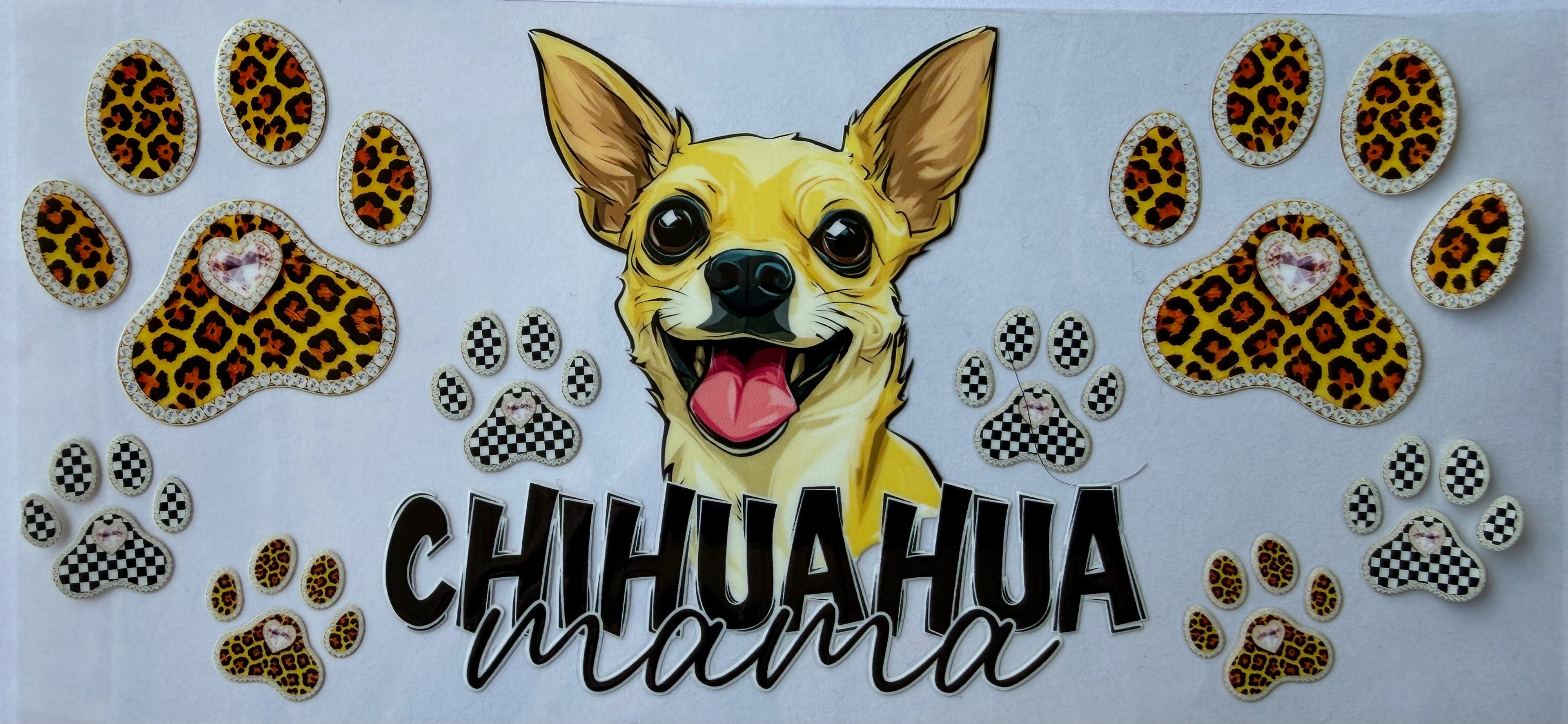 #325F chihuahua