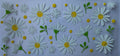 #373F daisys