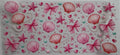 #435F sea shells