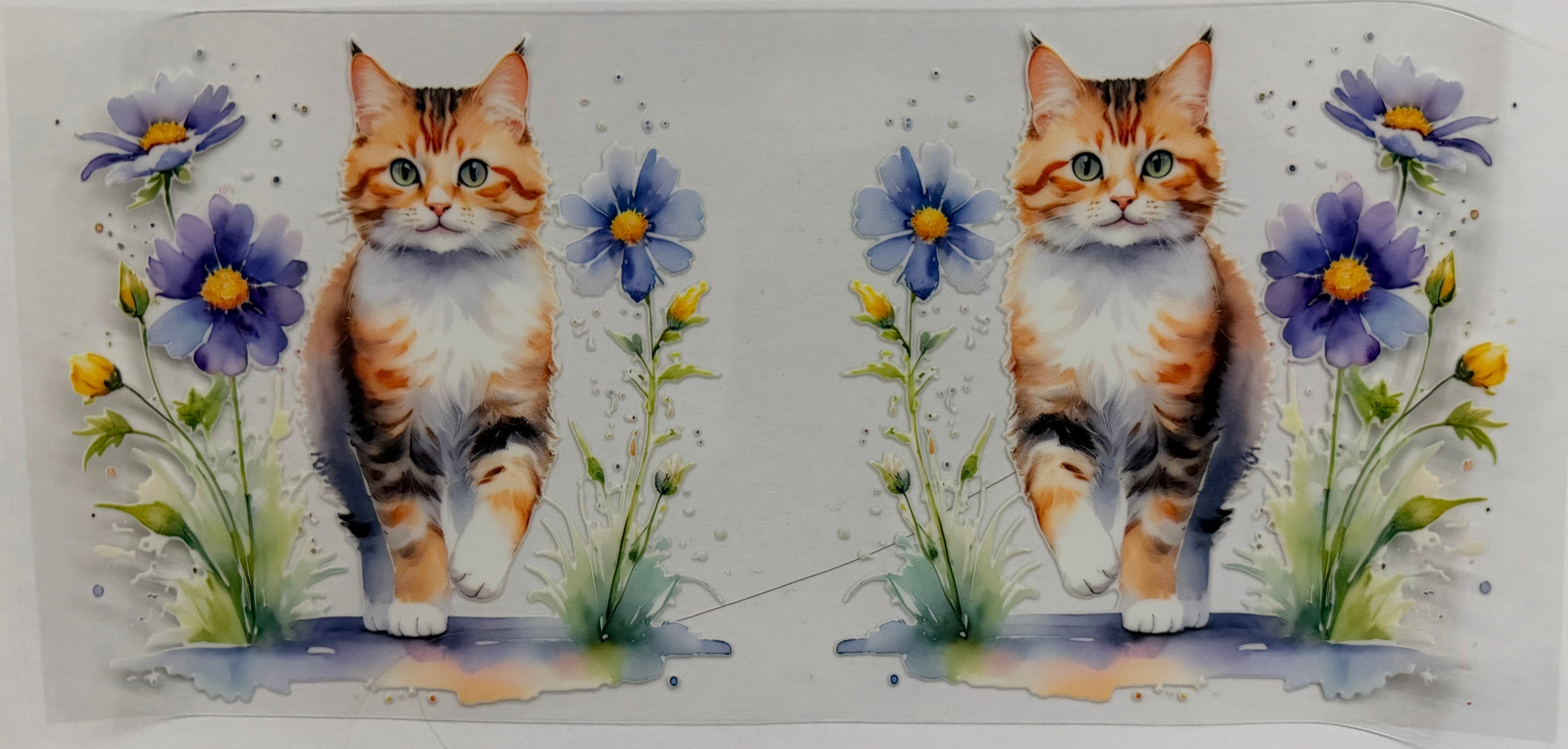 #461F cat