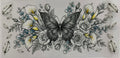 #476F butterflies
