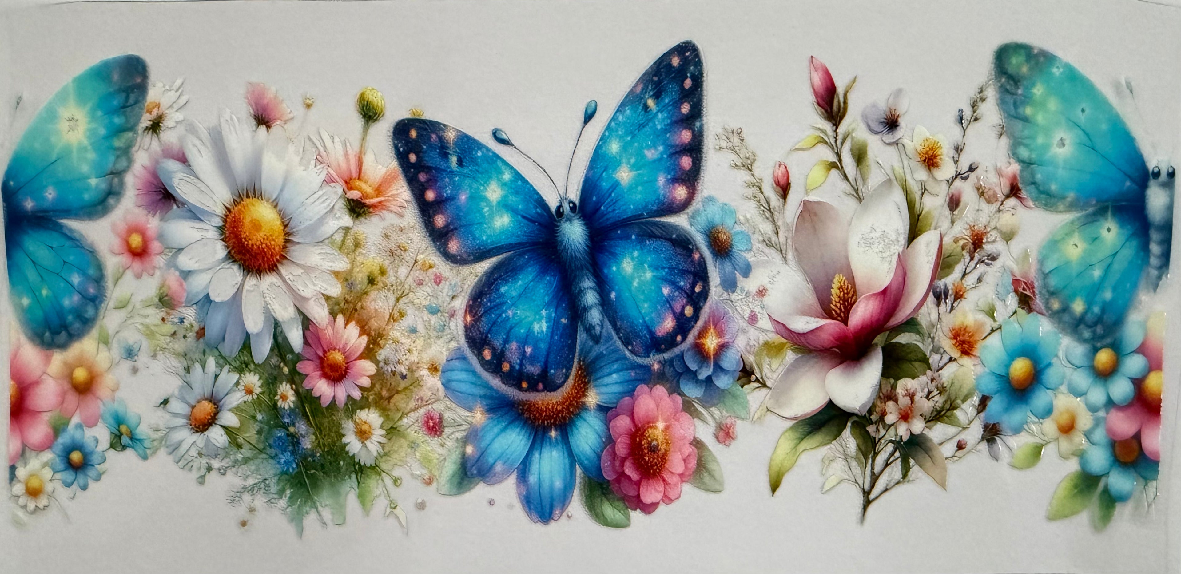 #477F butterflies