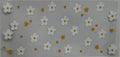 #479F daisys