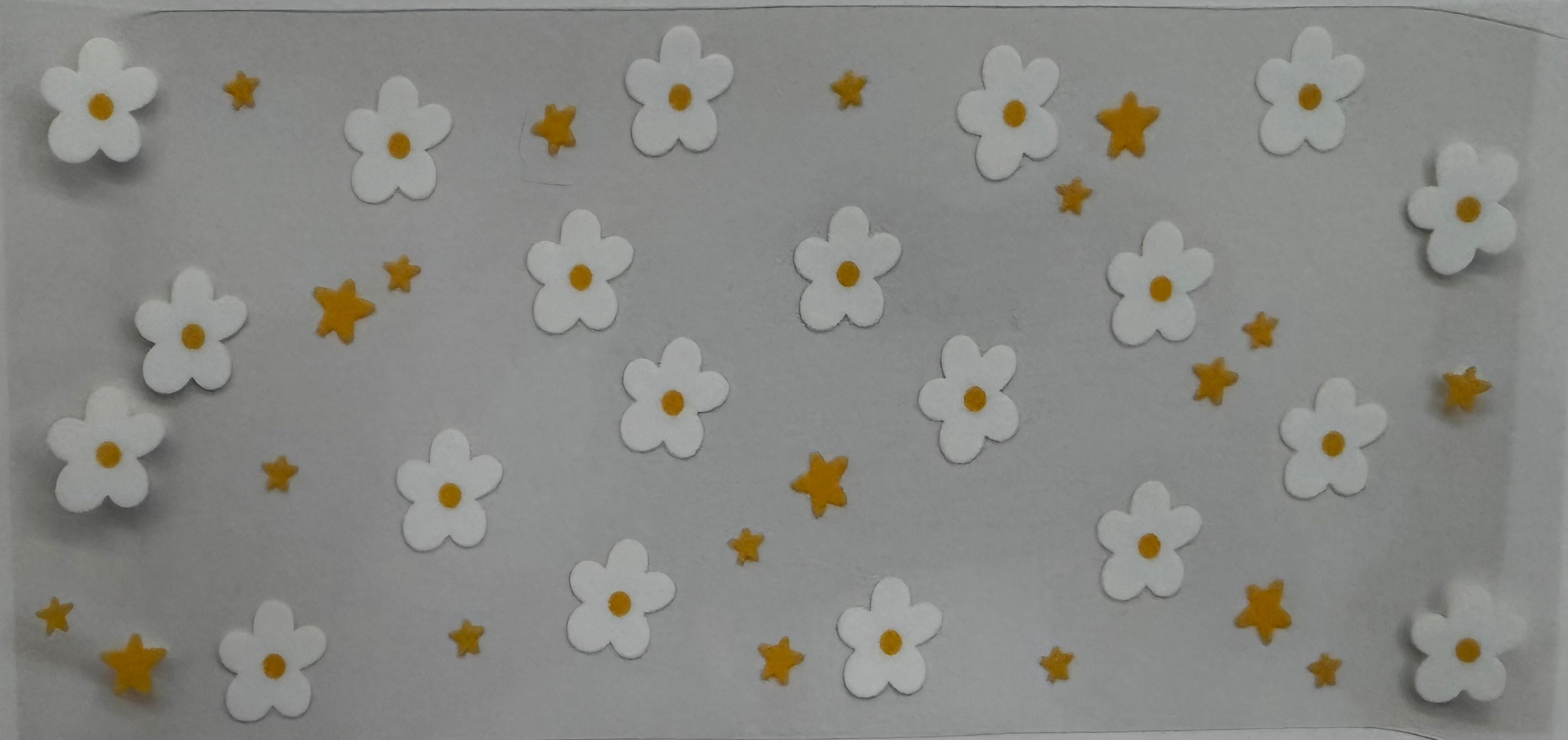 #479F daisys