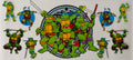 #144G Ninja Turtle