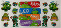 #145G Ninja Turtle