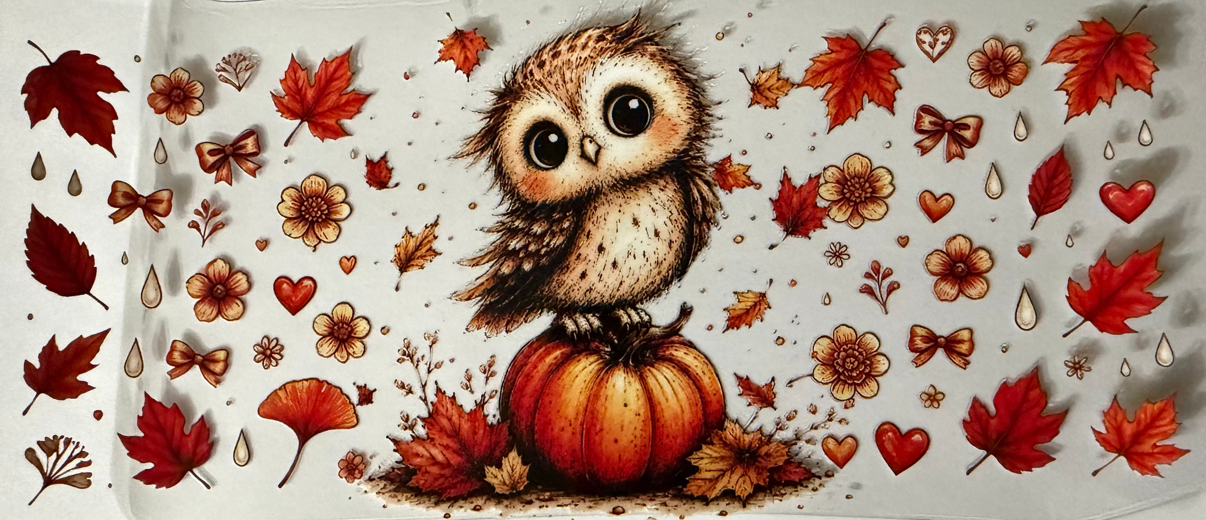 26J owl