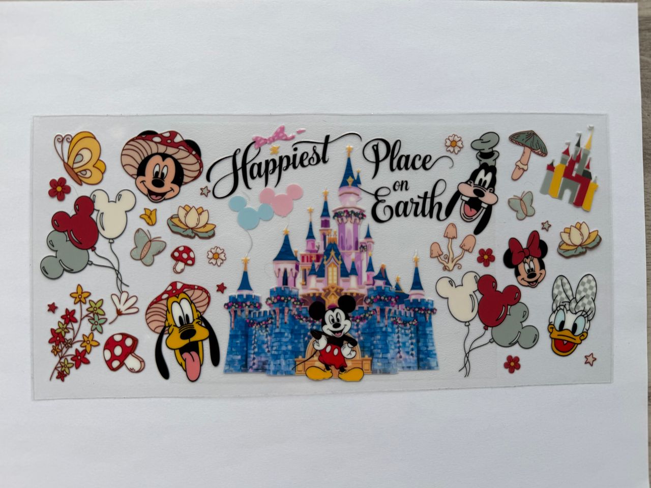 #12D Disneyland