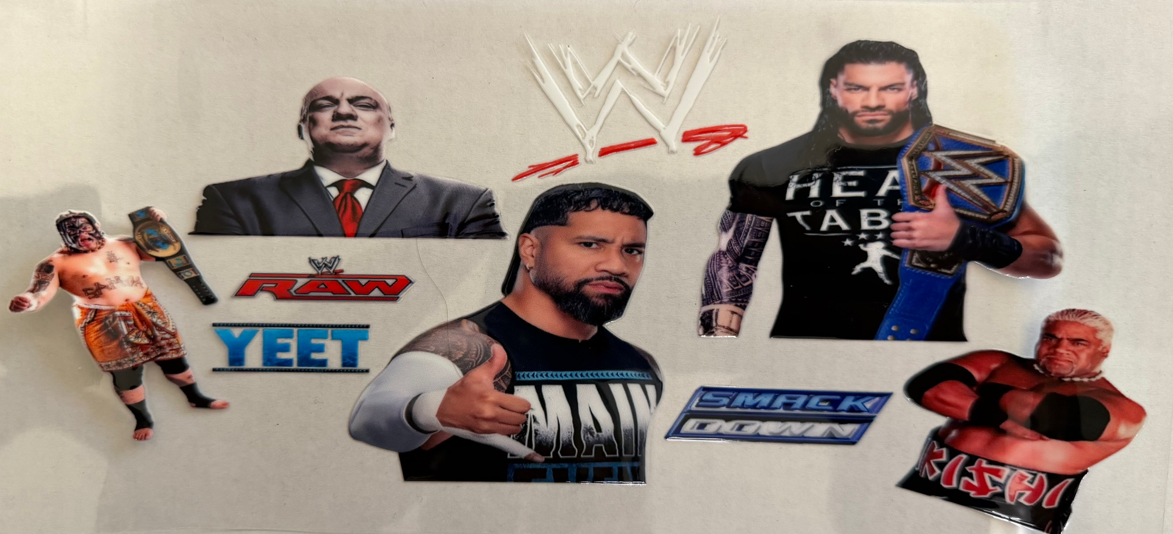 #348E WWE