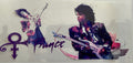 #388E Prince