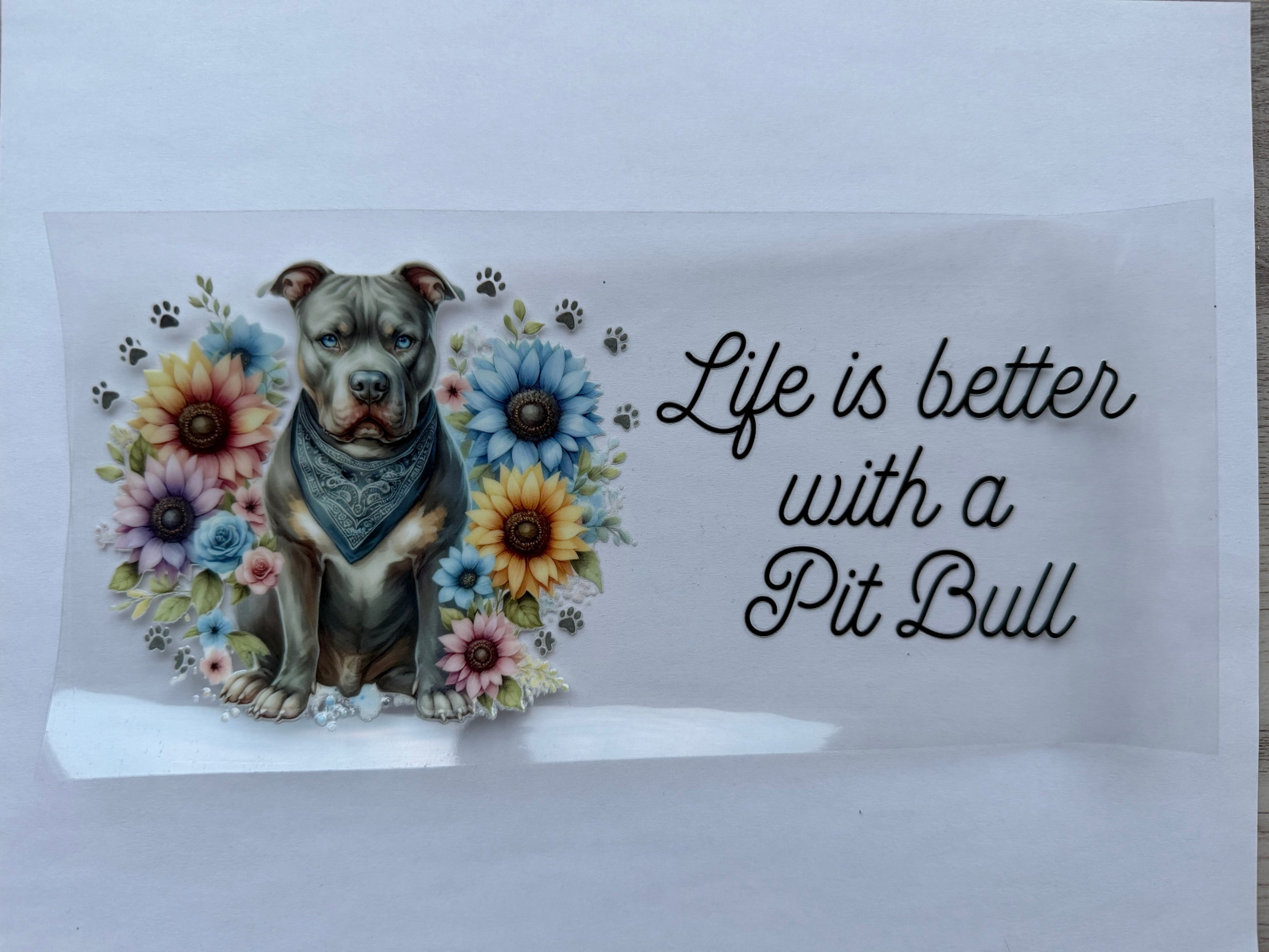 #1A Pit Bull
