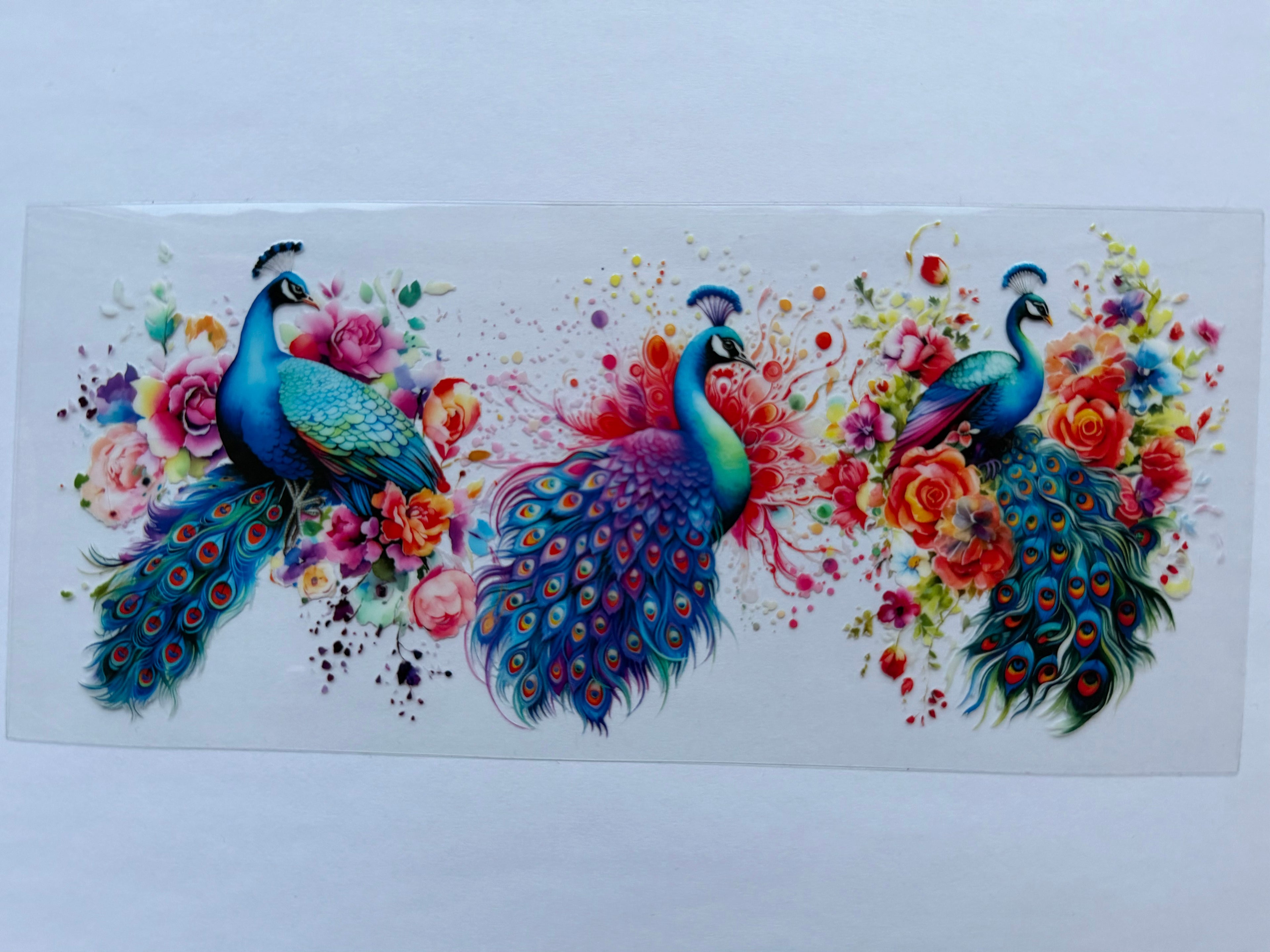 #8A Peacocks