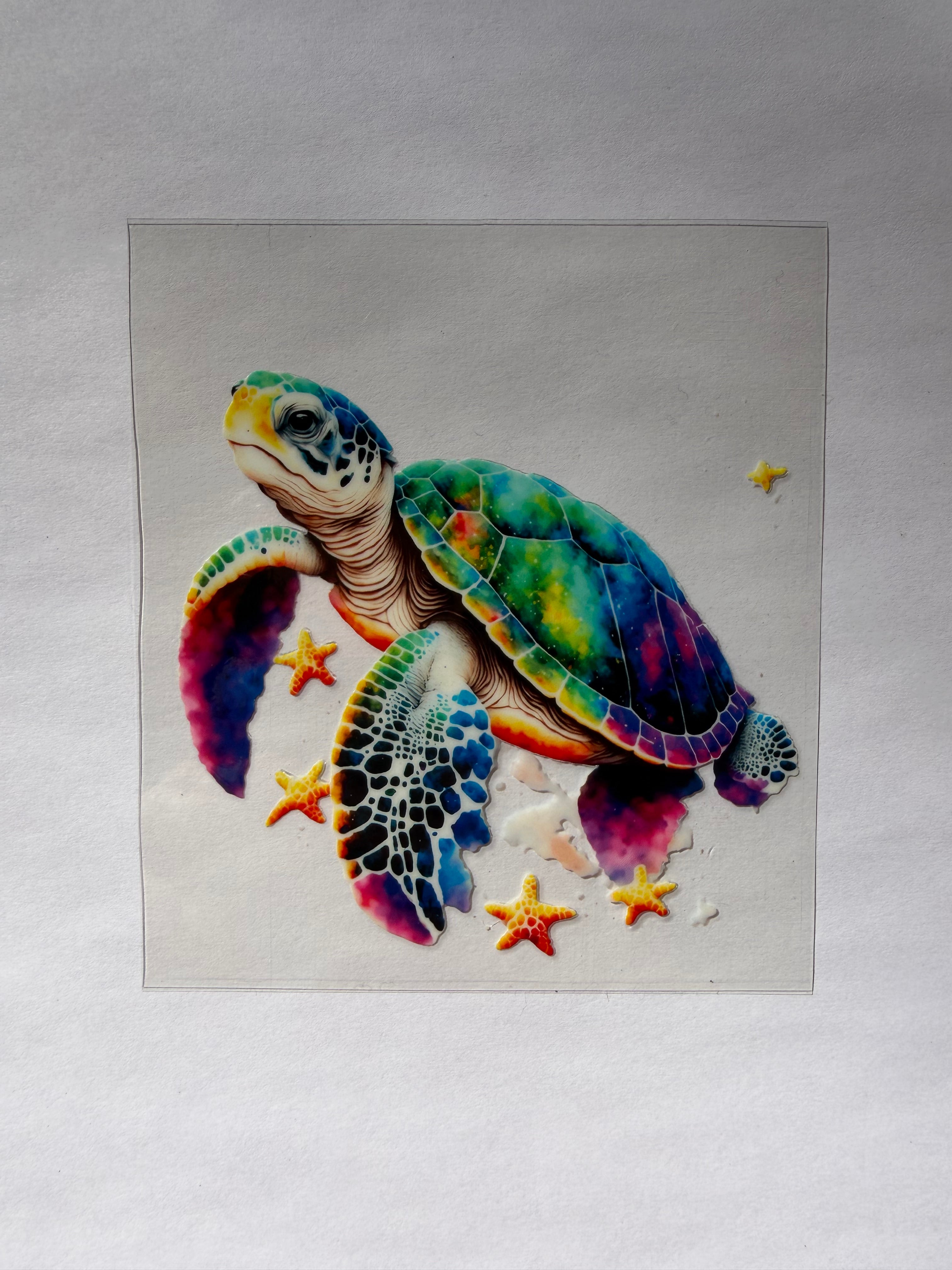 #185 Turtle