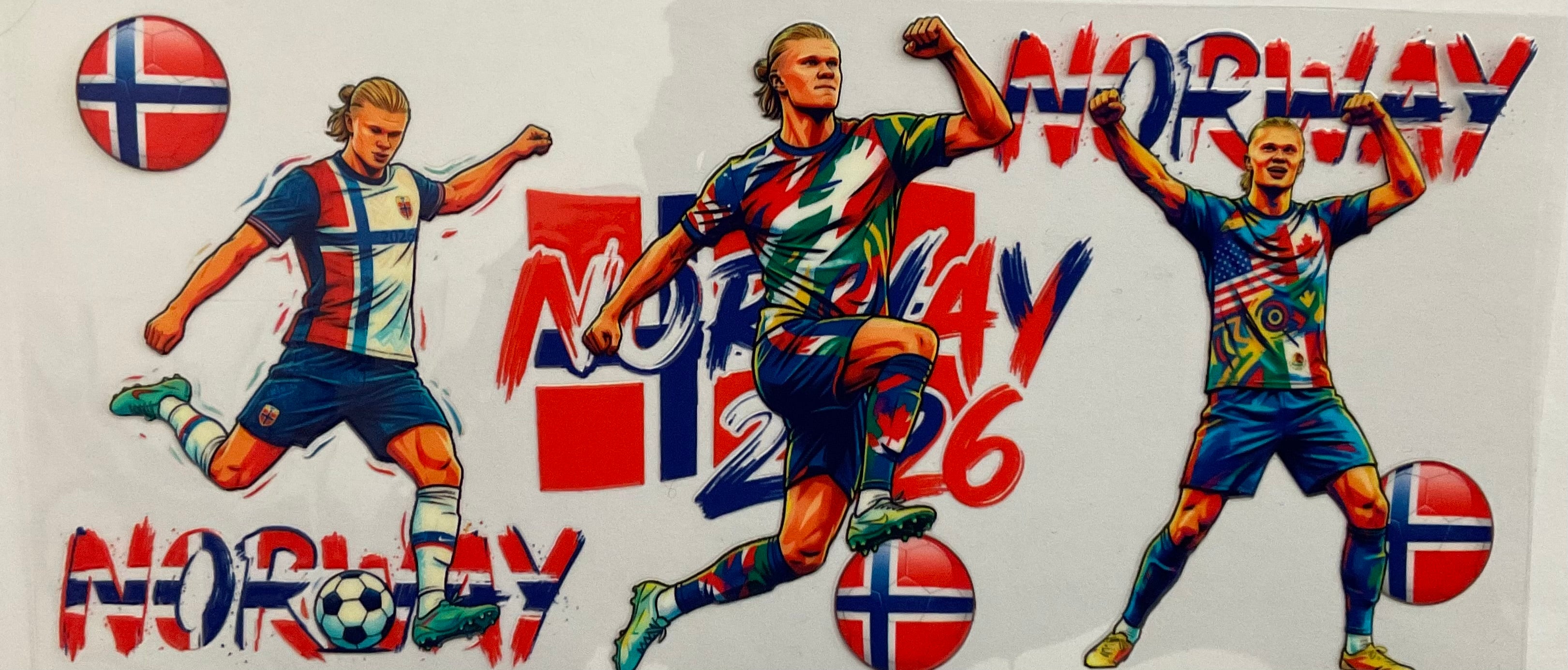 #208B Norway