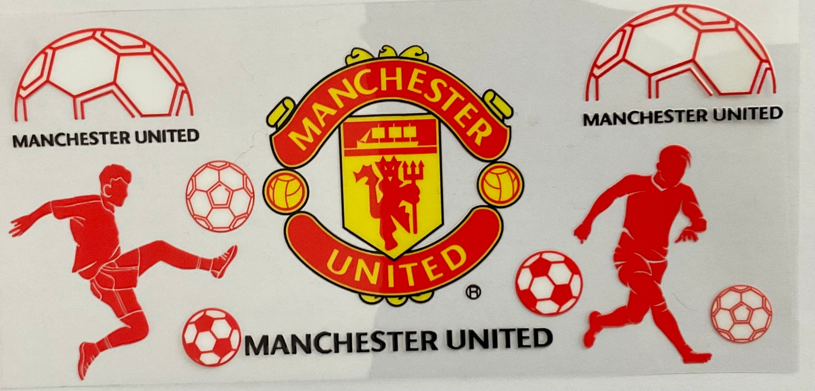 #222B Manchester United