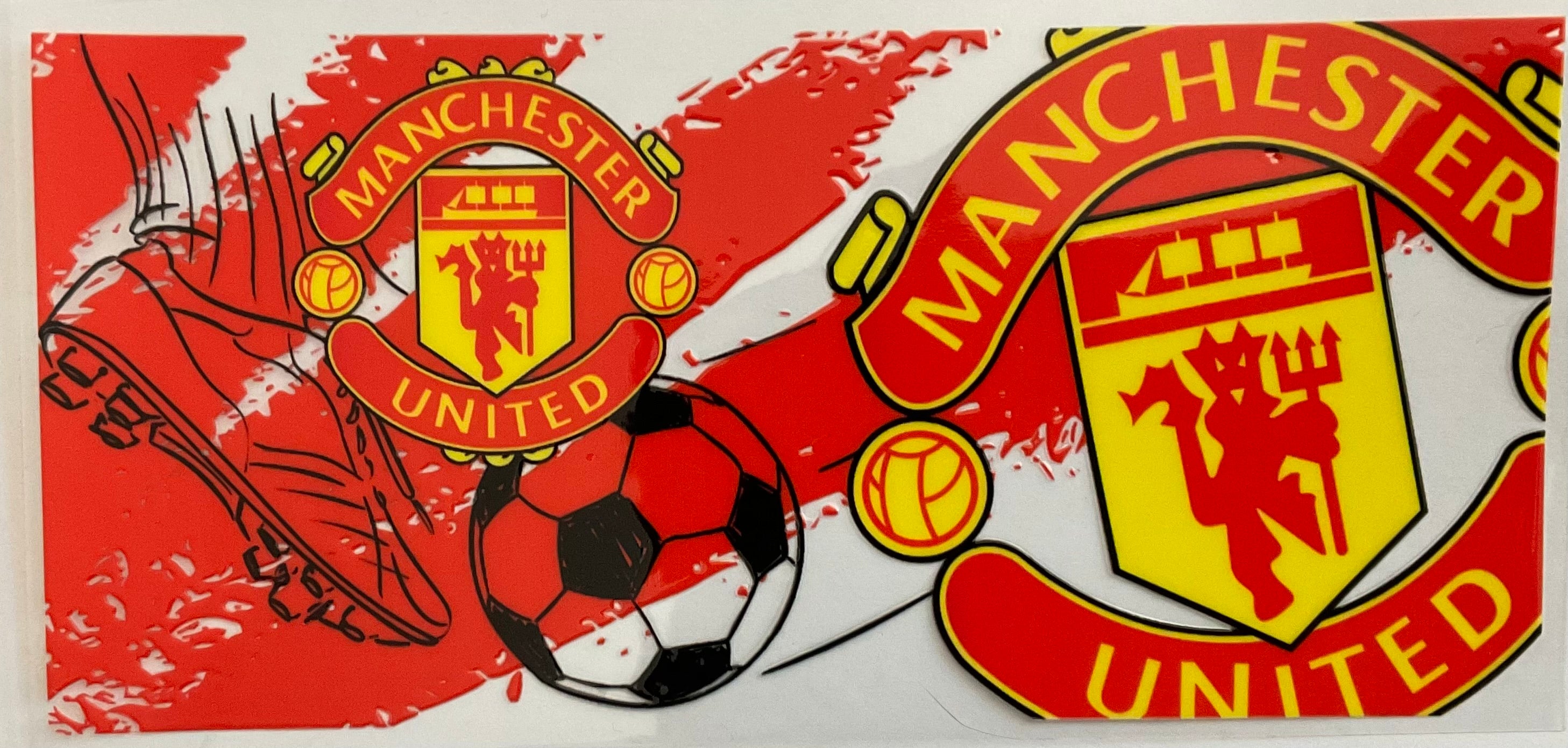 #223B Manchester United