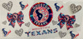 #274B Houston Texans