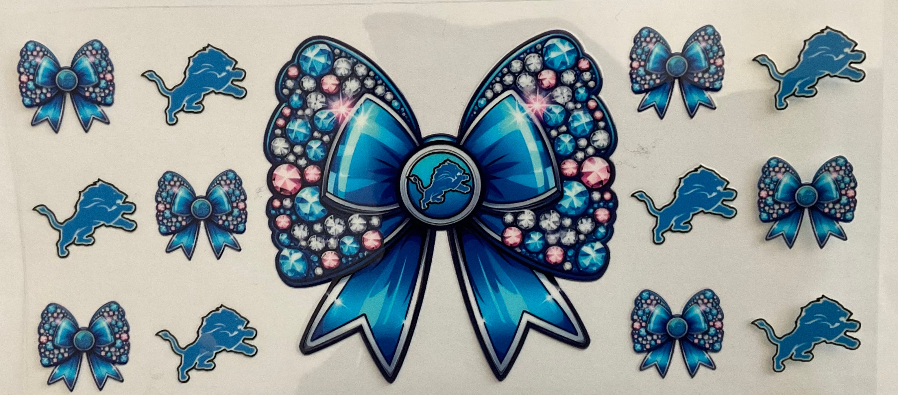#276B Detroit Lions