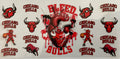 #302B Chicago Bulls