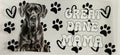 #402B Dog